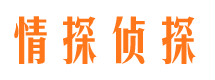 清原市婚姻调查